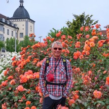 A lot of roses in Sassnitz